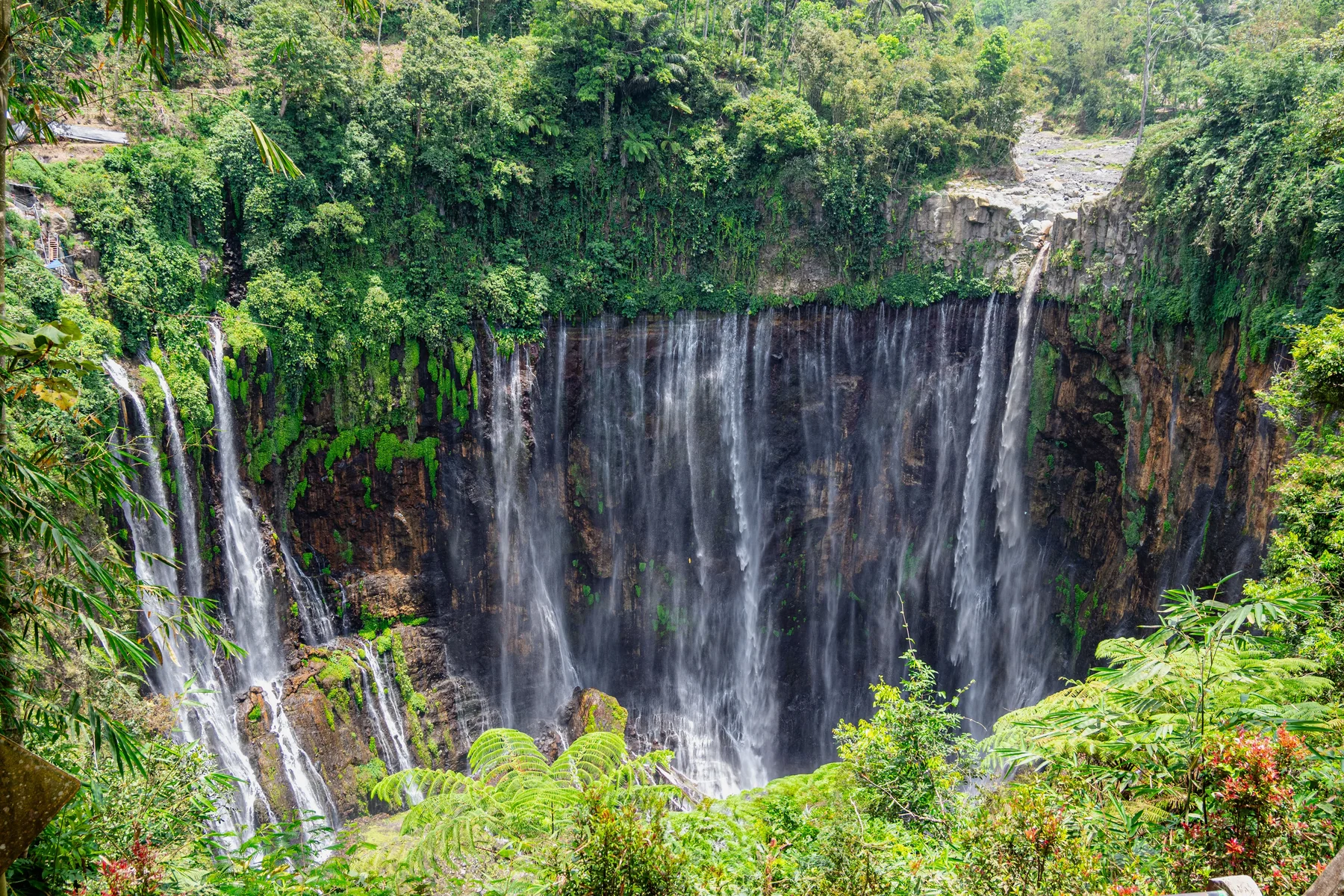 Tumpak Sewu di tengah hutan hijau dan kabut lembah